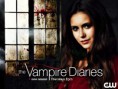 /album/fotogalerie/season-4-promo-wallpaper-the-vampire-diaries-32578926-1023-768-jpg1/